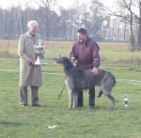 Coogan Bis 3klein