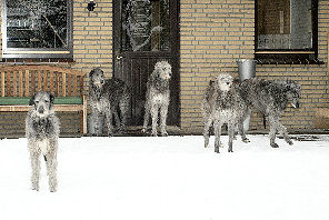 Schnee3_05_1