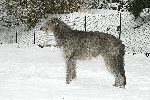 Schnee3_05_3
