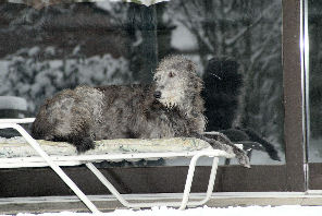 Schnee3_05_4