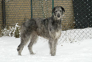 Schnee3_05_5