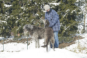 Schnee3_05_6