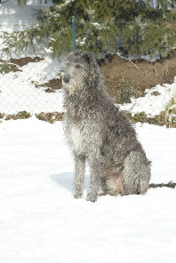 Schnee3_05_7