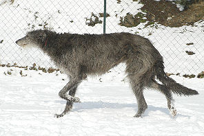 Schnee3_05_9
