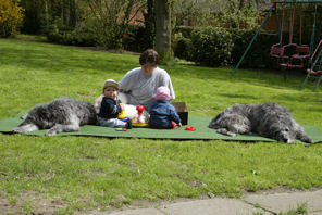 2Hunde0506-1