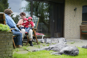 6Hunde0606-4